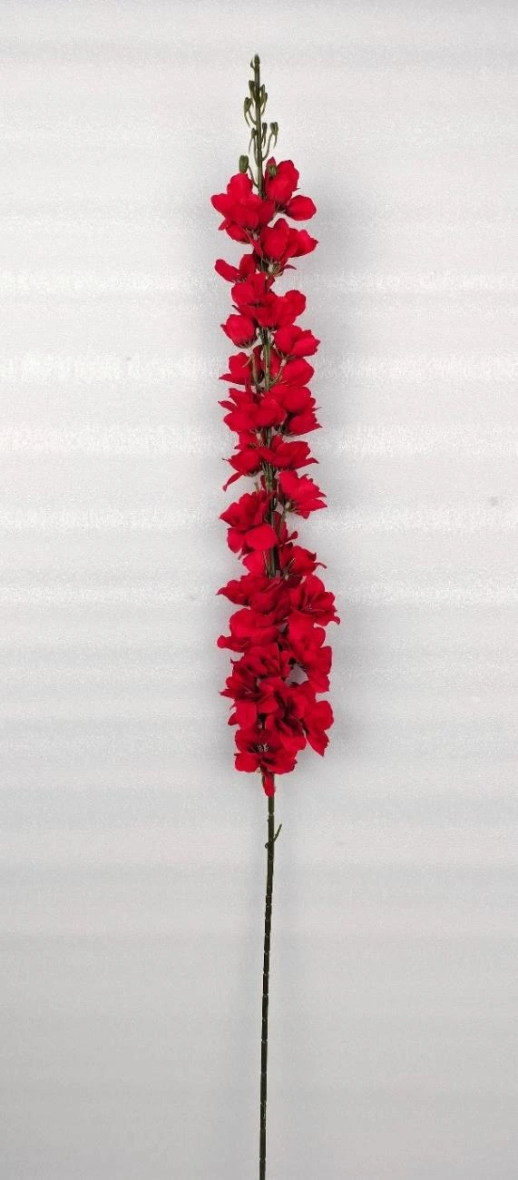 Stock Flower Med